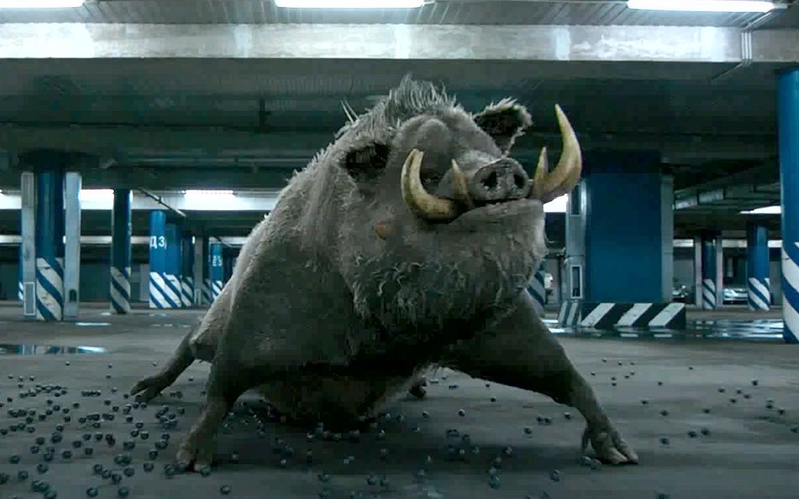 肥男拥有动物血脉,一旦遇到危险,就会变身成几百斤的野猪精疯狂反抗!