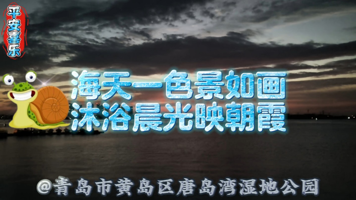 【蜗牛日记】青岛市黄岛区唐岛湾湿地公园,秋日晨跑,11月05日晴:海天