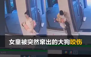 Télécharger la video: 女童躺妈妈怀里，被突然窜出的大狗咬伤