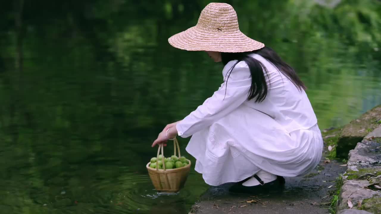 治愈小森林梅子熟了,来尝一口夏天的味道!哔哩哔哩bilibili