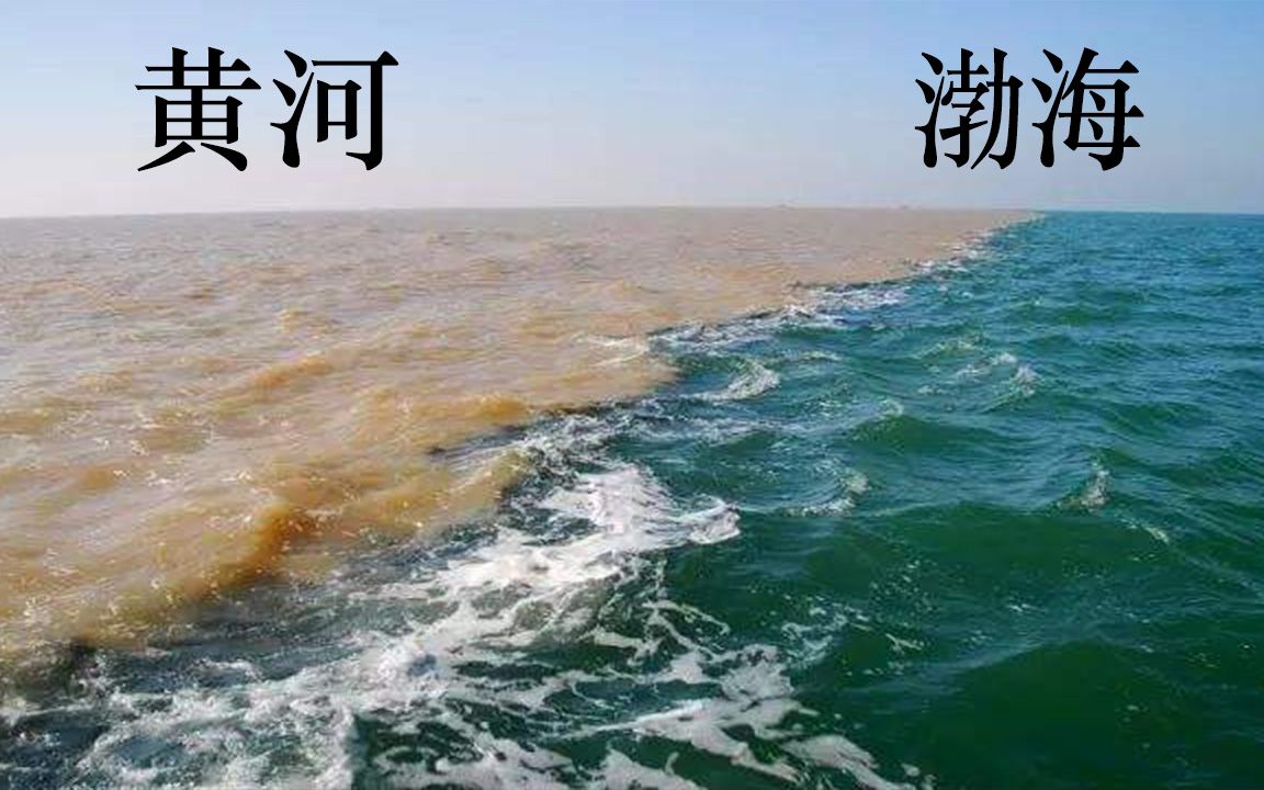 [图]为什么渤海水和黄河水不相融？