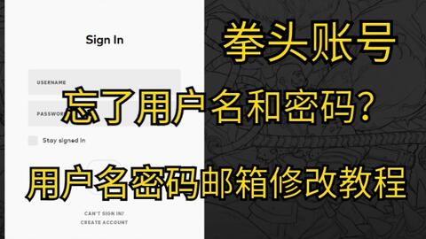 拳头账号忘记用户名和密码怎么办 用户名密码邮箱修改教程 哔哩哔哩