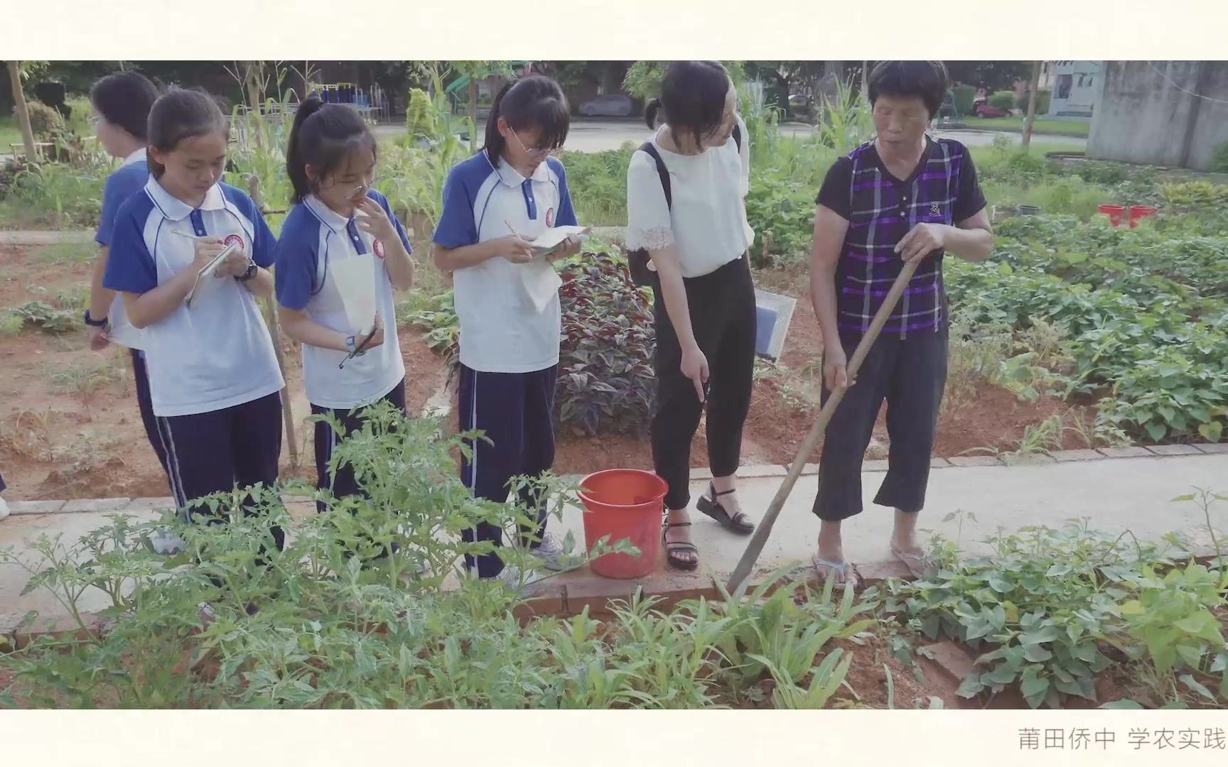 【莆田侨中】学农实践基地哔哩哔哩bilibili