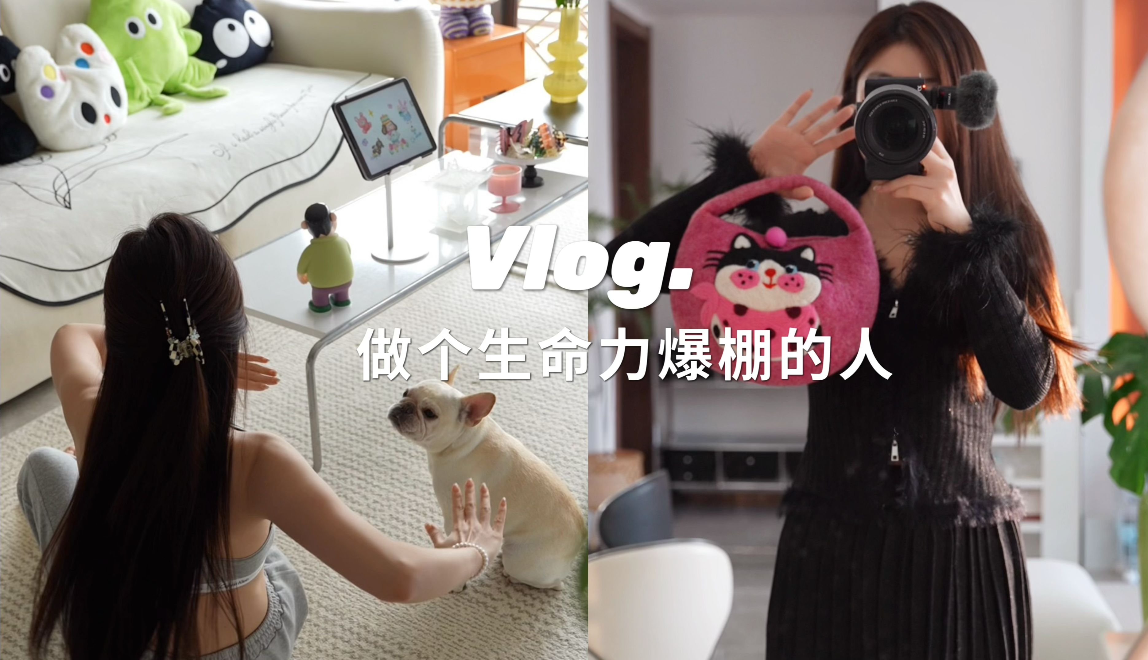 vlog | 停止招待过客,迟钝的爱,莽撞的活,自作主张过余生哔哩哔哩bilibili