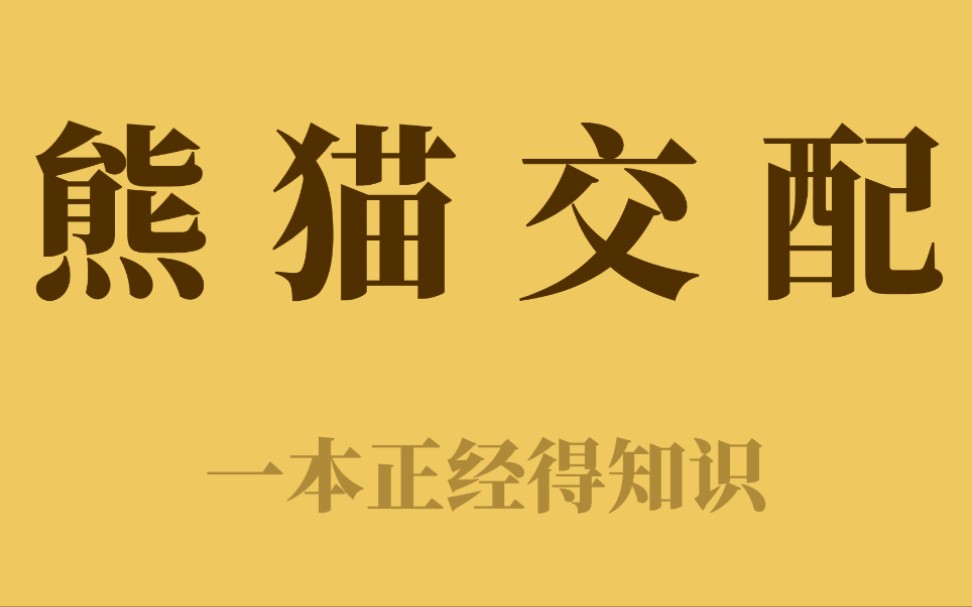 为什么要给大熊猫看“熊猫成人电影”?哔哩哔哩bilibili