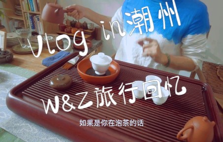 William&Zoe旅行记潮州古城游:“鸭屎香”是什么香?哔哩哔哩bilibili