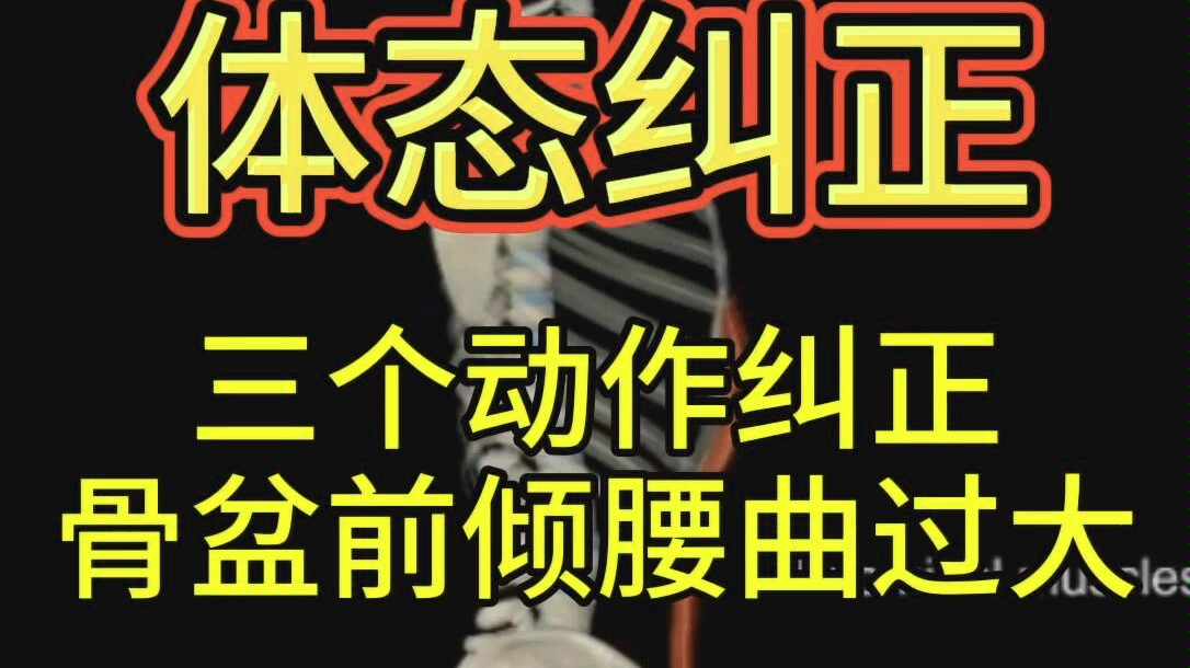 【体态矫正】三个动作纠正骨盆前倾、腰椎曲度过大哔哩哔哩bilibili