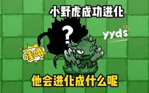 Download Video: 植物大战僵尸：小野虎成功进化，他会进化成什么呢？