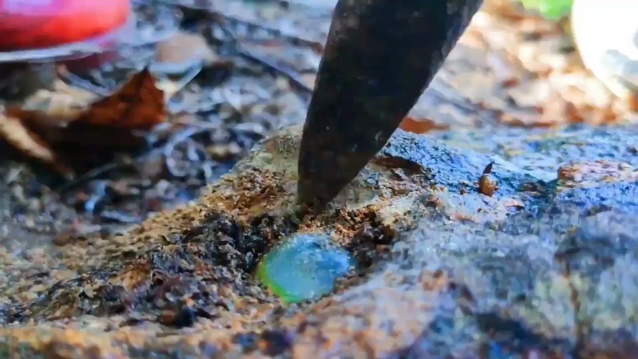 农村大姐挖宝石,帮看看是什么石头?感觉要发财了