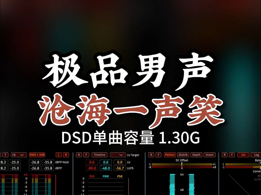 豪情满怀、气盖云天!极品发烧男声,《沧海一声笑》DSD完整版1.30G,百万调音师专业录音棚制作,顶级hifi无损音质哔哩哔哩bilibili