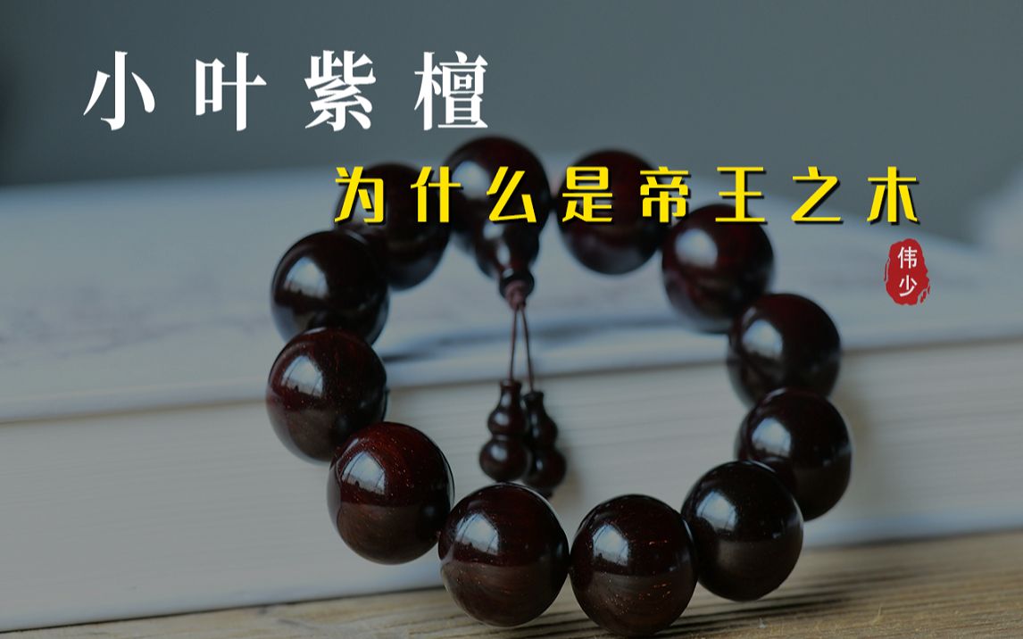 小叶紫檀凭啥是“帝王之木”?它有什么魅力,能够深受文玩人追捧哔哩哔哩bilibili