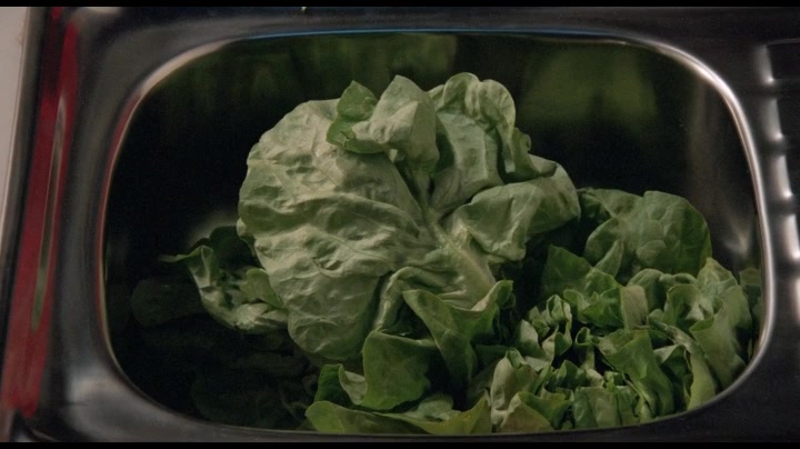 {下饭}蛞蝓之灾:包菜不切开洗,拳头一样大的蛞蝓在菜里也看不见的