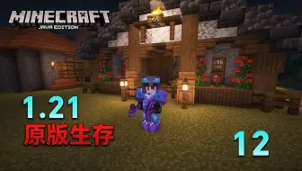 【极限】MC1.21极限生存12