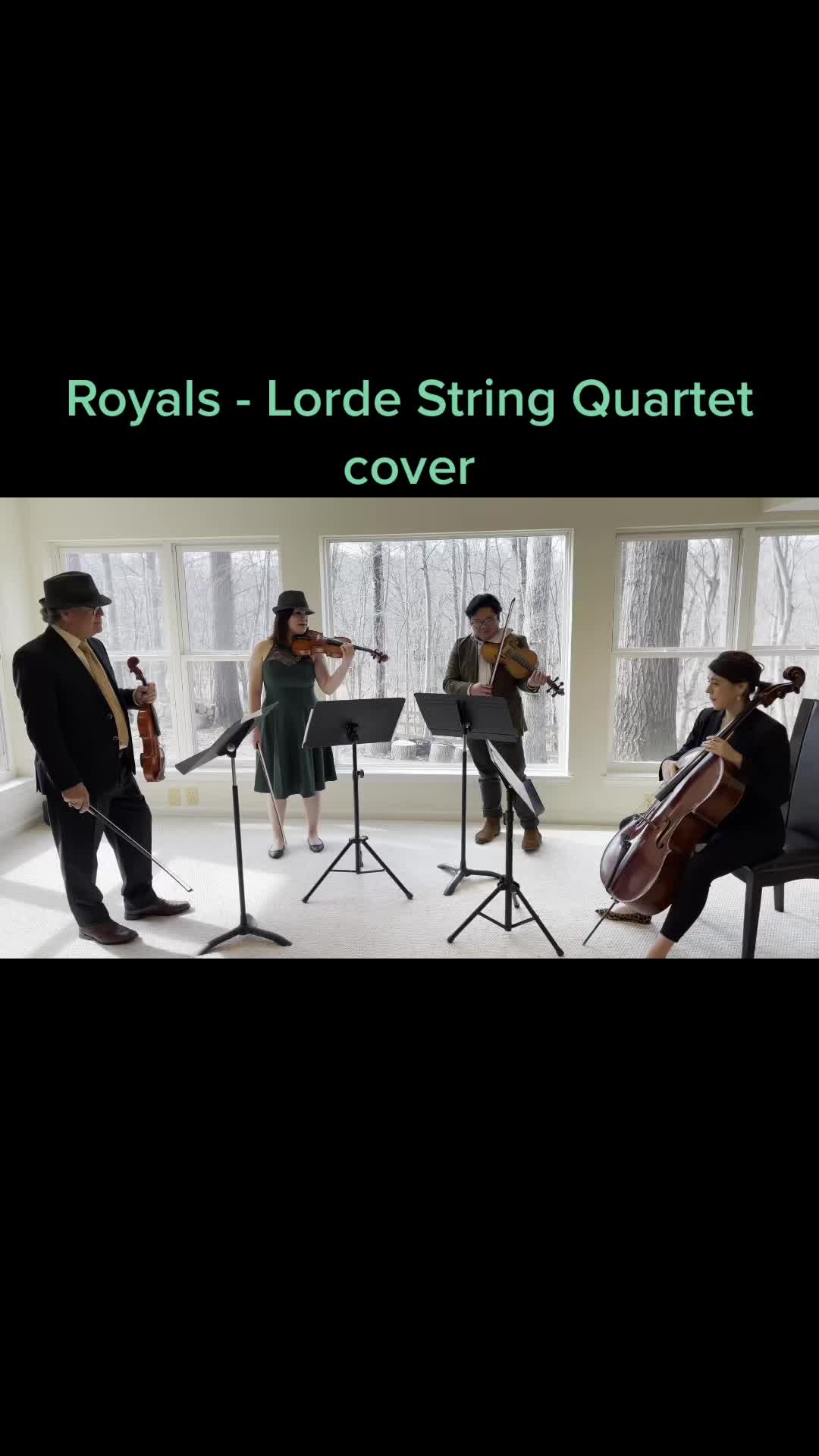 #strings #string #stringquartet #violin #viola #cello #violinist #royals #lorde哔哩哔哩bilibili