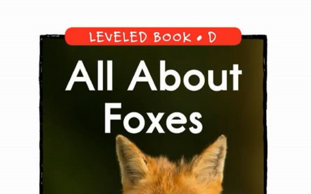 [图]「不用词汇书背单词」Episode 395：All About Foxes