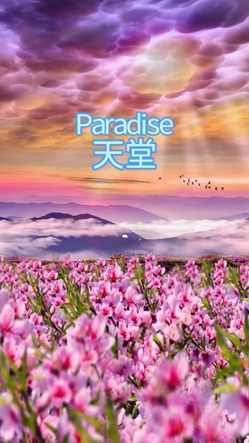 [图]《Paradise/天堂》