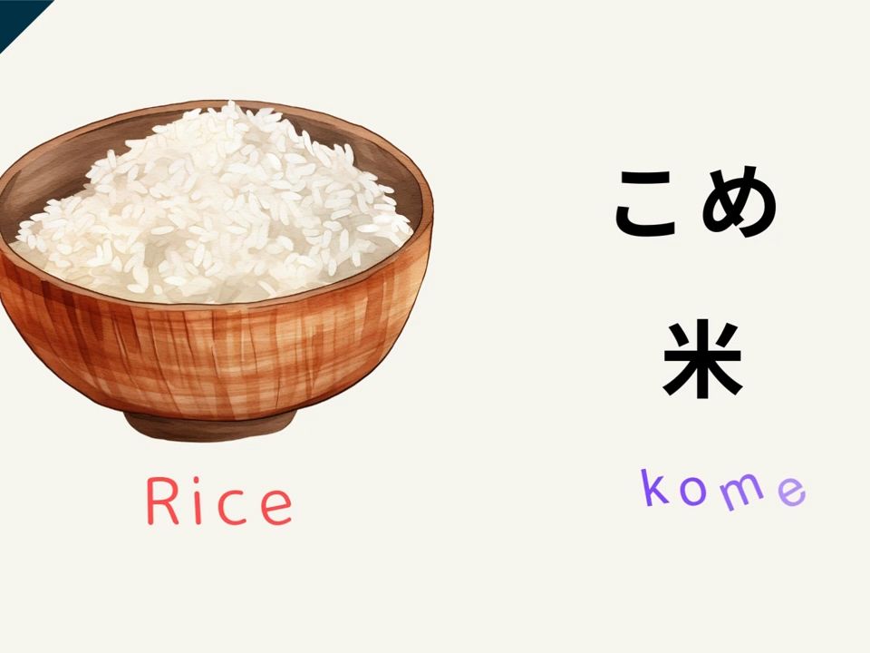 【日语词汇】简单的食物词汇用日语怎么说~Japanese Food Vocabulary A Beginner's Guide哔哩哔哩bilibili