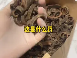 下载视频: 每天带你认识十种中药材