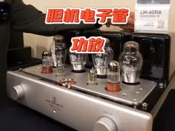 Download Video: 丽磁 LM-609IA胆机功放电子管功放#发烧hifi #发烧音响 #现场实拍 #电子管胆机