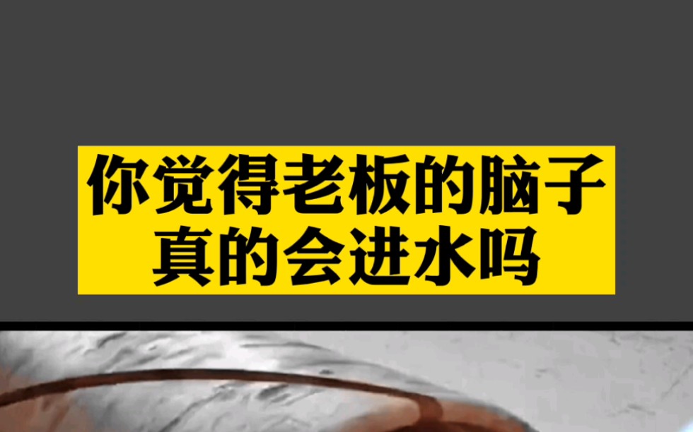 一对夫妇在海上为老板养鱼,老板每月开给这对夫妇5000元工资#思维格局哔哩哔哩bilibili