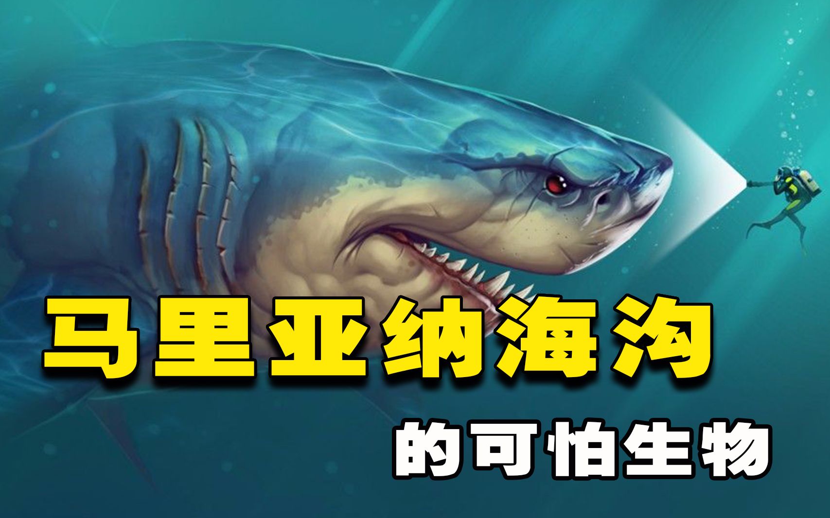 活动  马里亚纳海沟生活着哪些可怕生物?