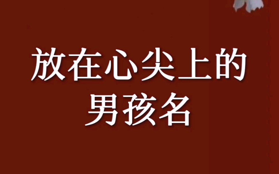 宝宝起名字:放在心尖上的男孩名哔哩哔哩bilibili