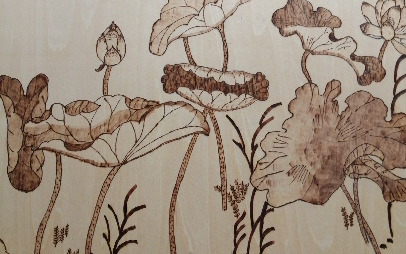 【手工烙画】赠荷花