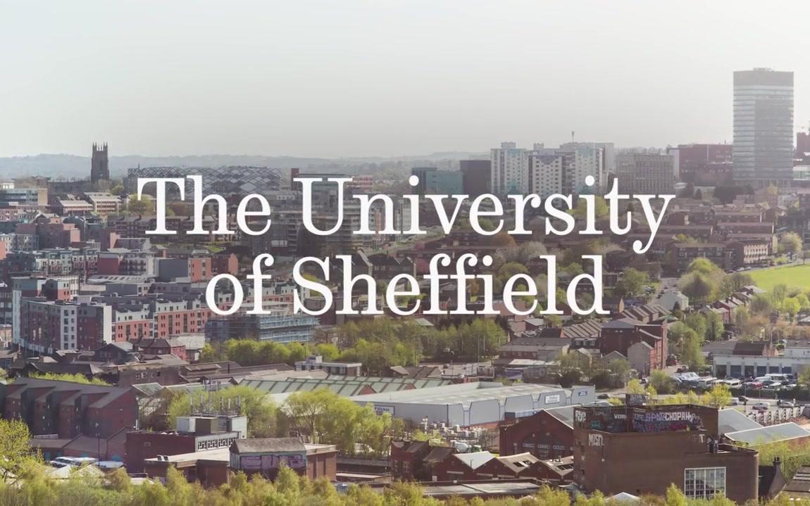 【英国留学】英国名校谢菲尔德大学留学体验 University of Sheffield Student Experience哔哩哔哩bilibili