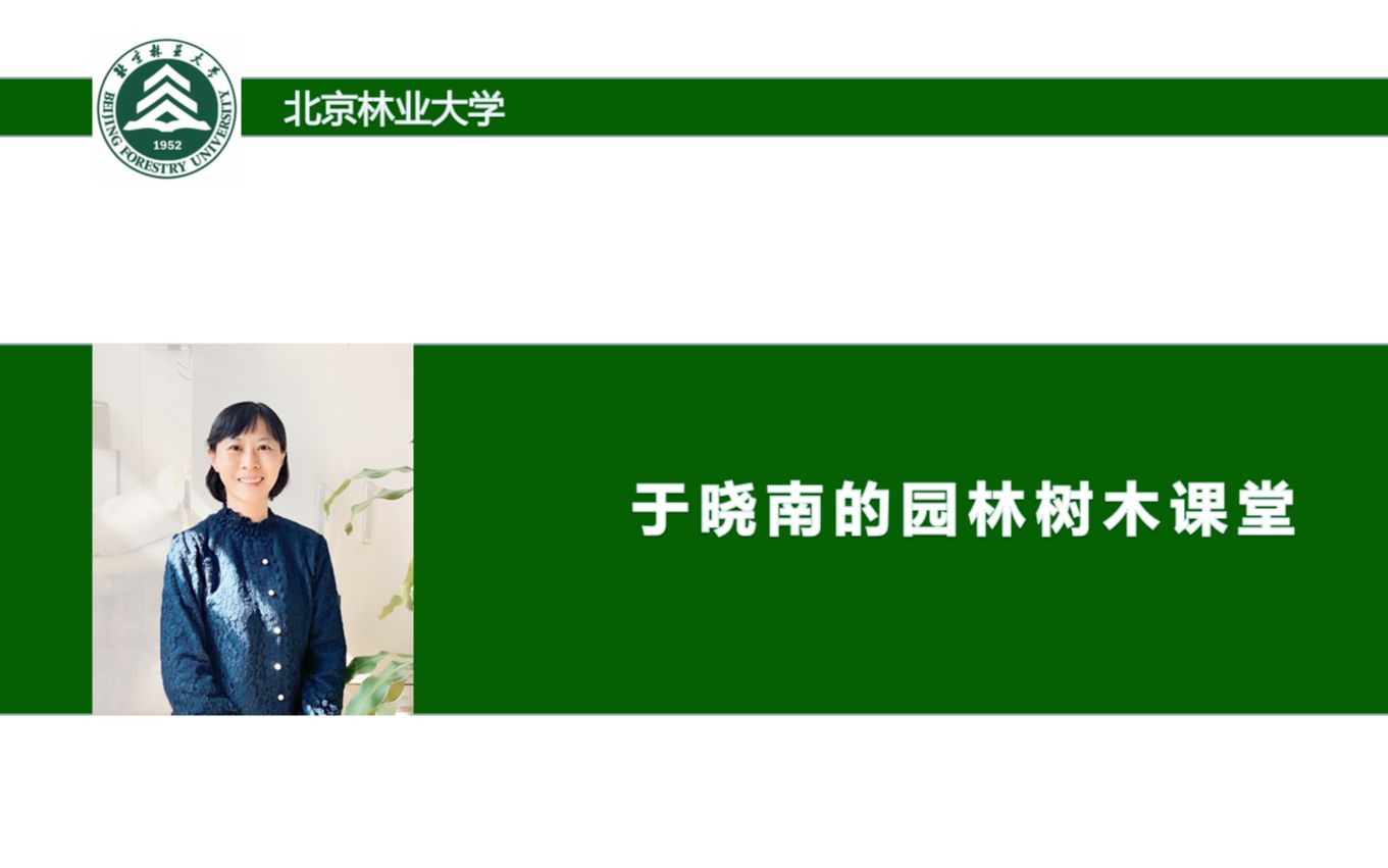 北京林业大学 于晓南《园林树木学》哔哩哔哩bilibili