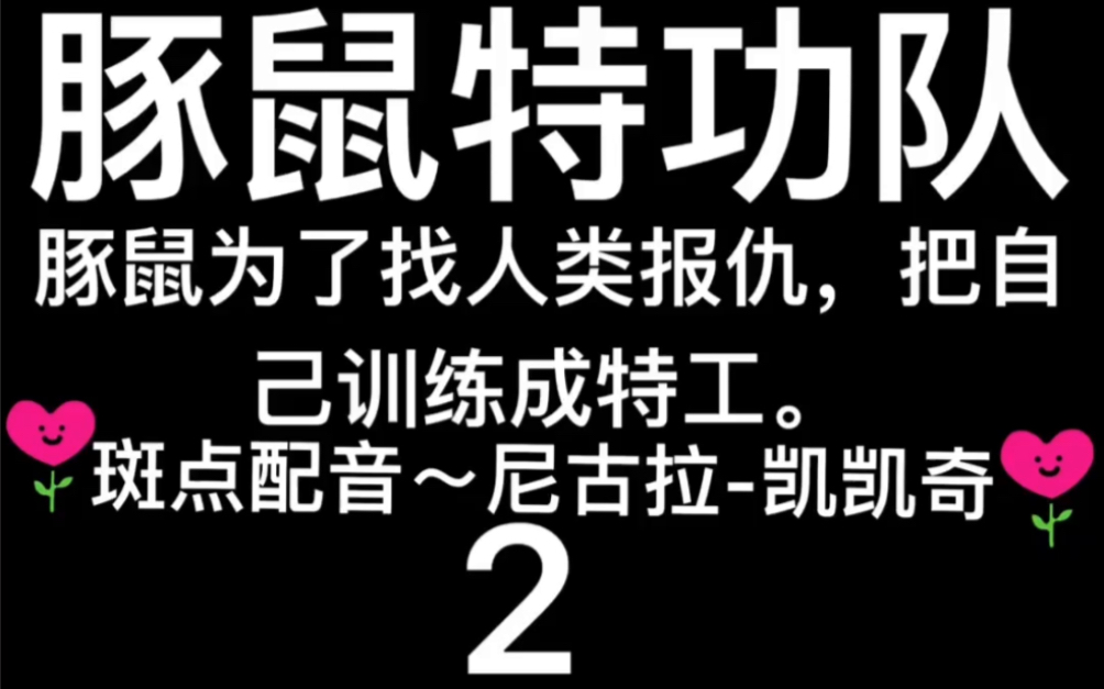 2009年美国电影~豚鼠特攻队~2哔哩哔哩bilibili