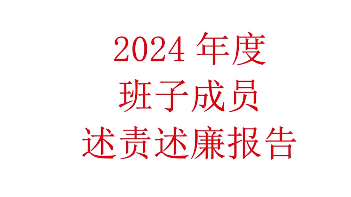 2024年度班子述职报告哔哩哔哩bilibili