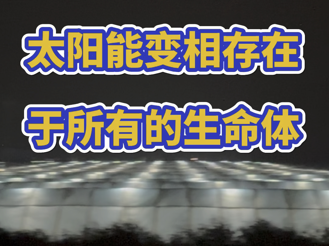 养殖的终点比拼的是能量的富集效率!#灯光一晃黄金万两#南美白对虾小棚工厂化养殖#南美白对虾工厂化养殖#南美白对虾小棚养殖#南美白对虾高位池养殖...