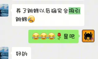 下载视频: 客户反馈之，饲养跳蛛后，跳蛛只会越来越多之可爱源源不断……！…