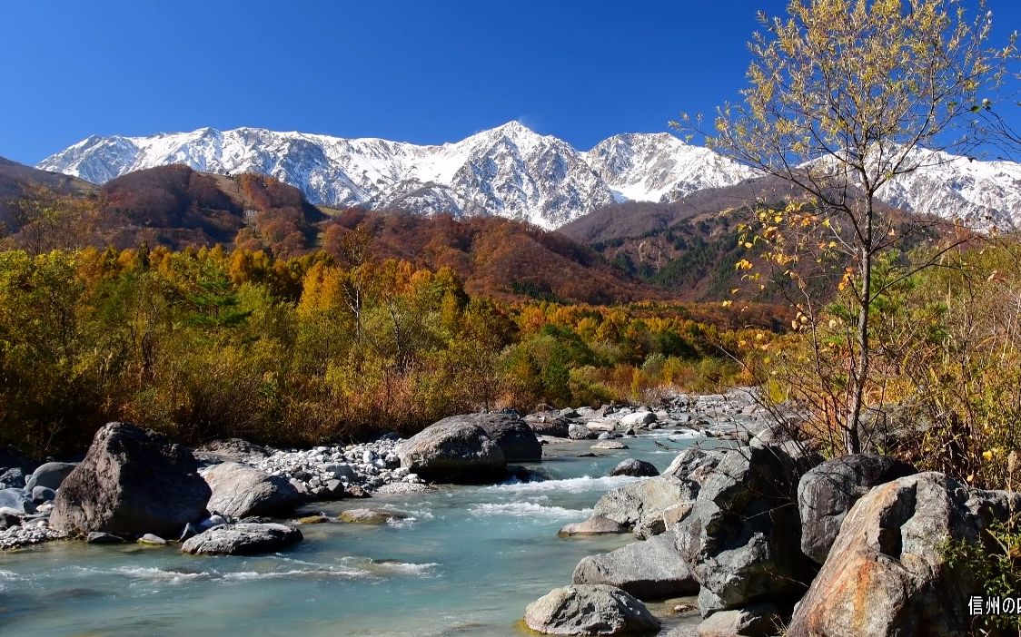 【超清日本】第一视角 美丽的长野县 白馬山麓 四季景色 (4k超清版)