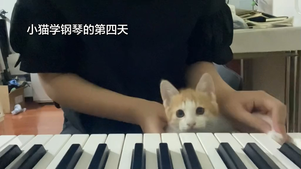 肖邦的妹妹肖茂咪弹奏《Luvsic 》有摇手手啦！！！