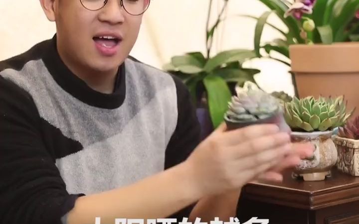 多肉植物叶片有白霜怎么办?哔哩哔哩bilibili