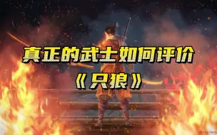 Download Video: 真正的武士如何评价《只狼》