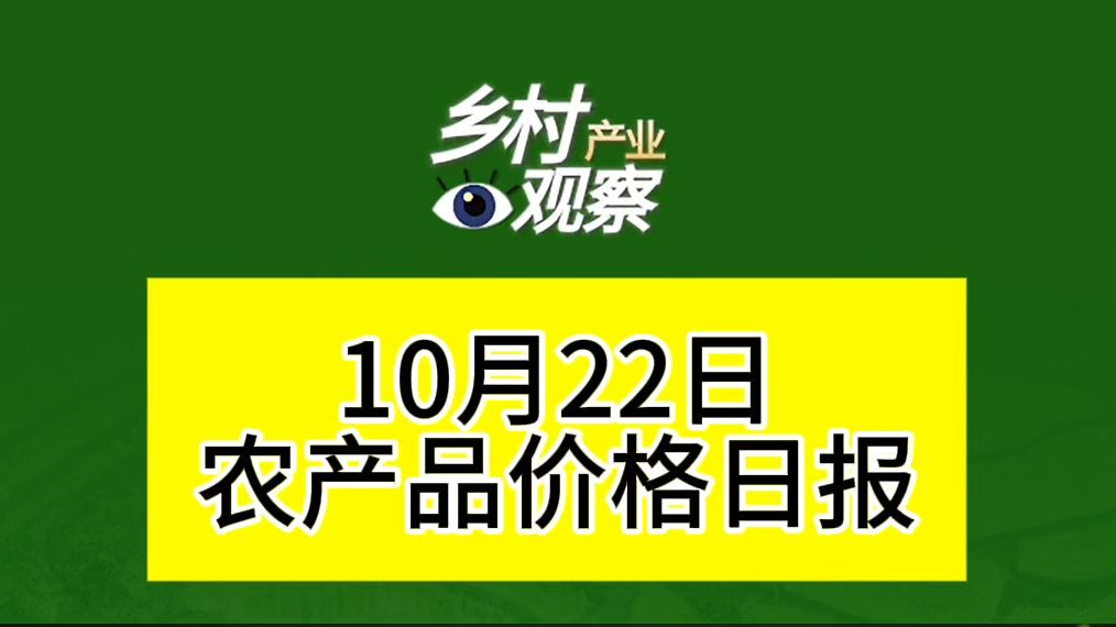 10月22日农产品价格日报来啦~哔哩哔哩bilibili