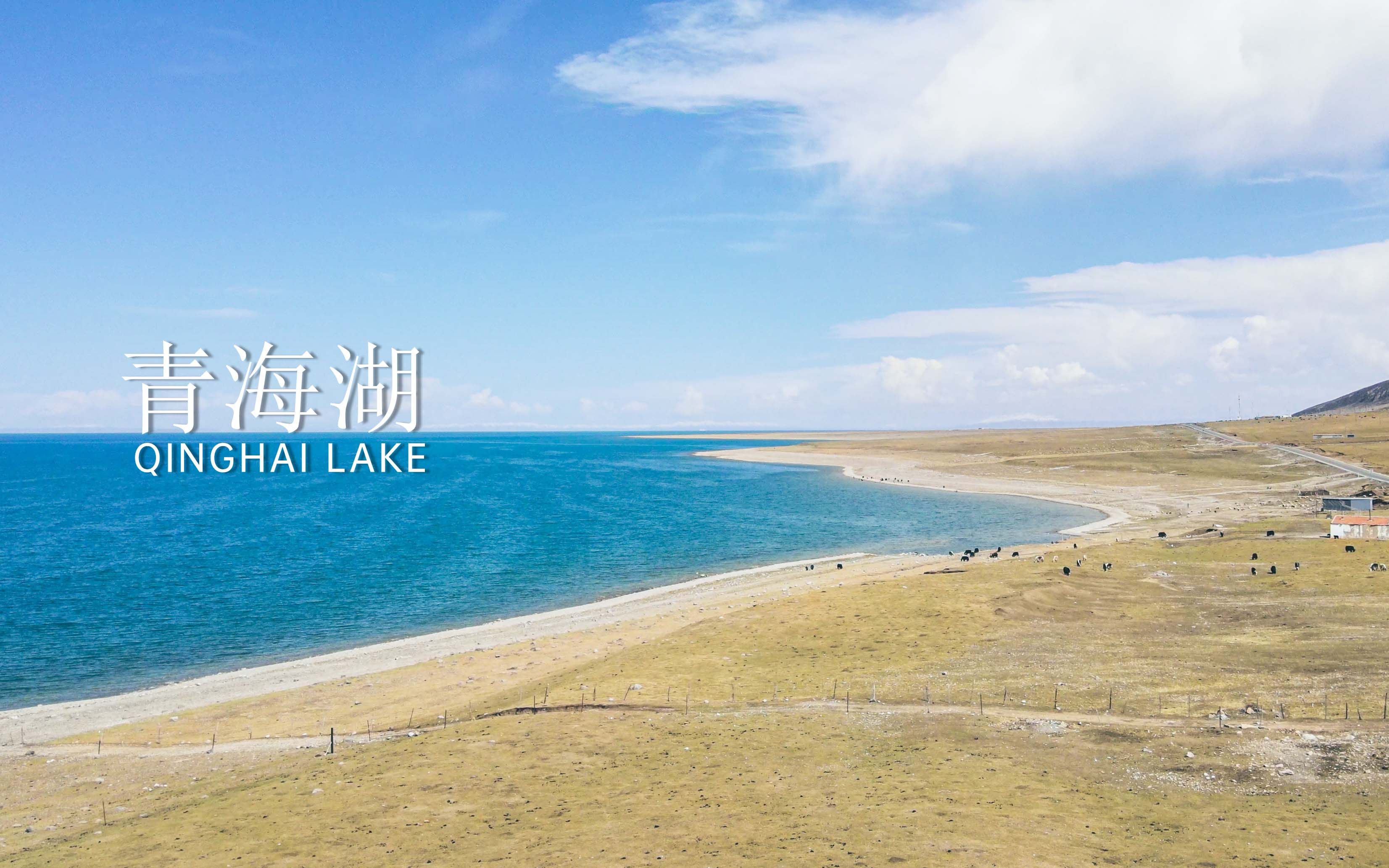 青海湖丨来过就再也难以忘却的地方丨sony a7m4丨4k