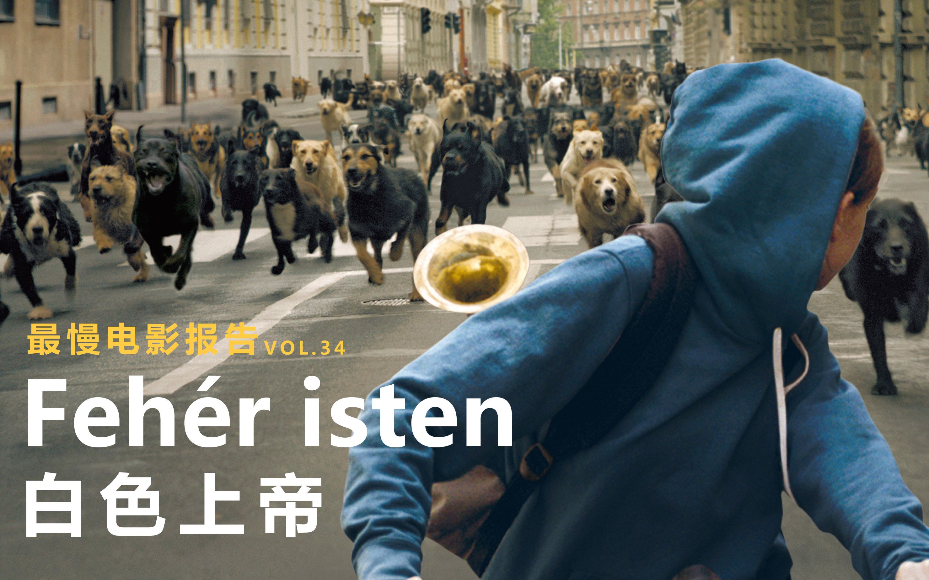 慢影狗狗与人类的寓言白色上帝