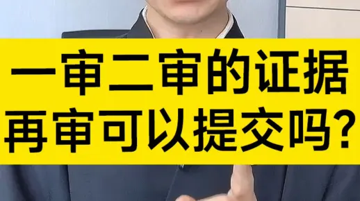 一审二审提交过的证据，再审还能提交吗？