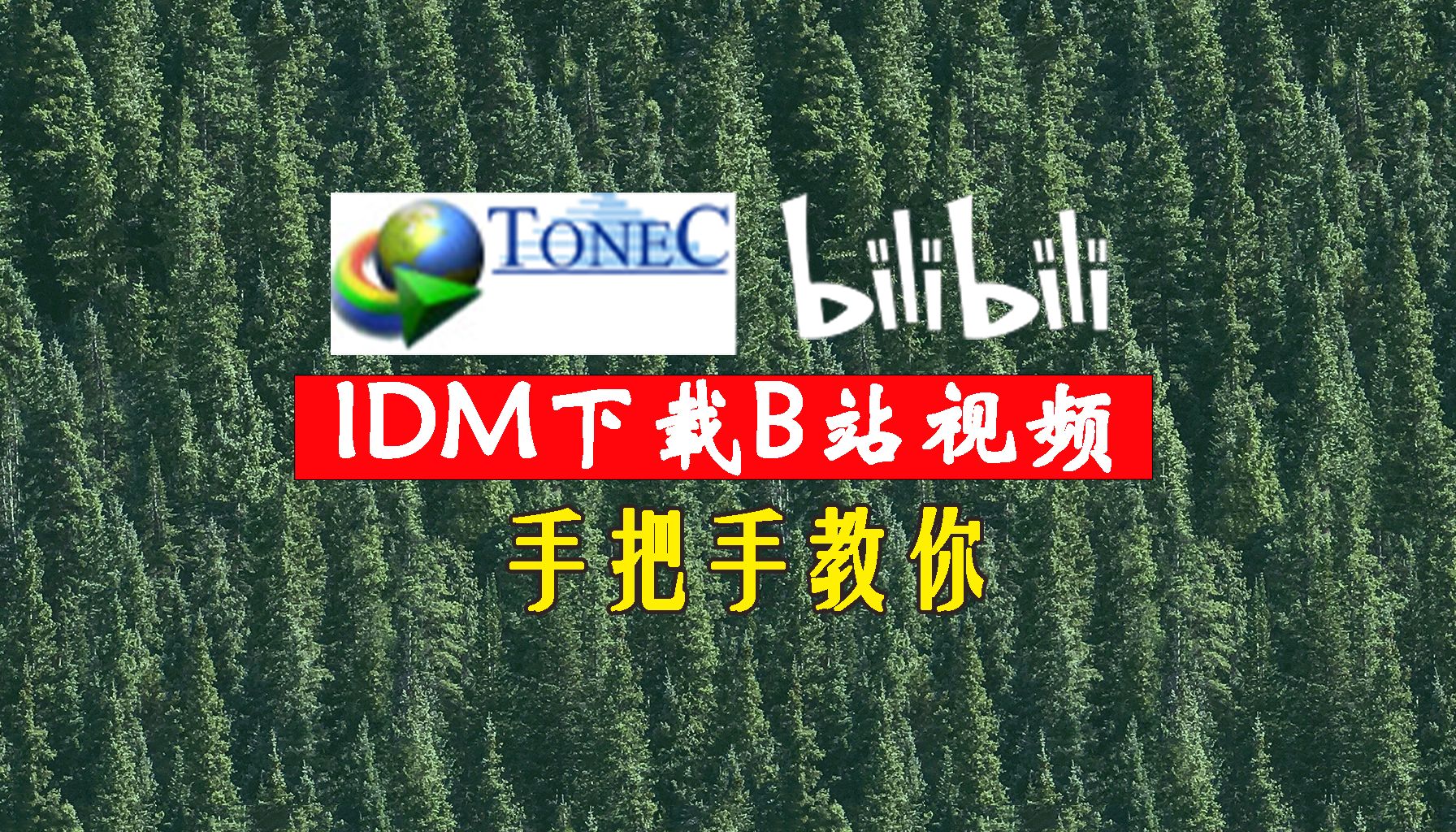 手把手教你怎么下载B站视频,IDM下载B站视频!哔哩哔哩bilibili