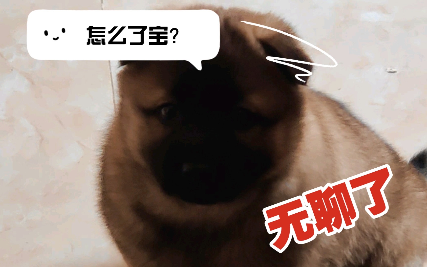 【镜猫】寂寞.哔哩哔哩bilibili