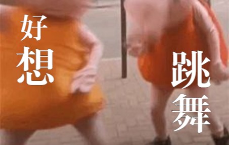 无限循环 猪猪跳舞.GIF 搞笑新人向