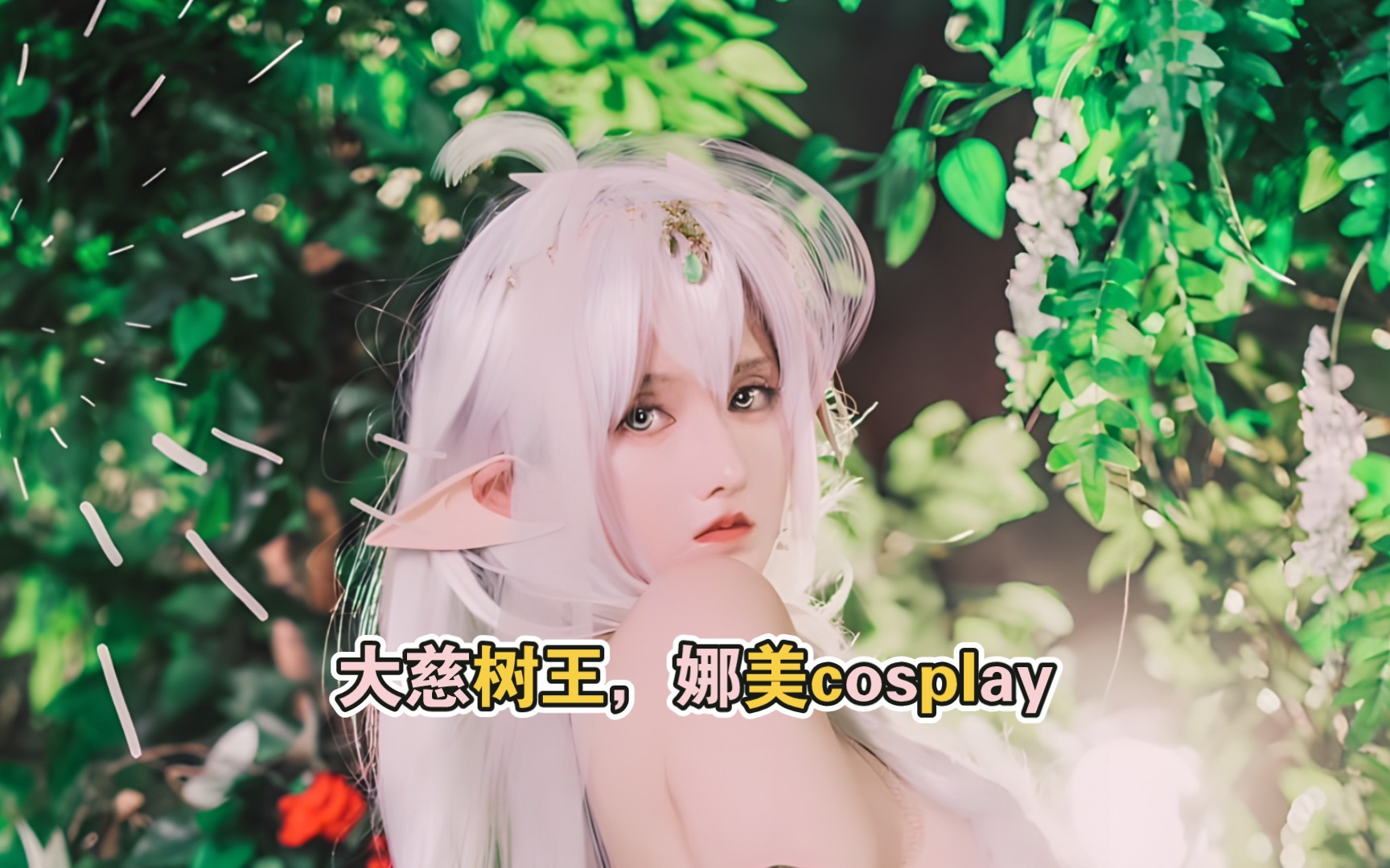 古阿扎cosplay(大慈树王,娜美)