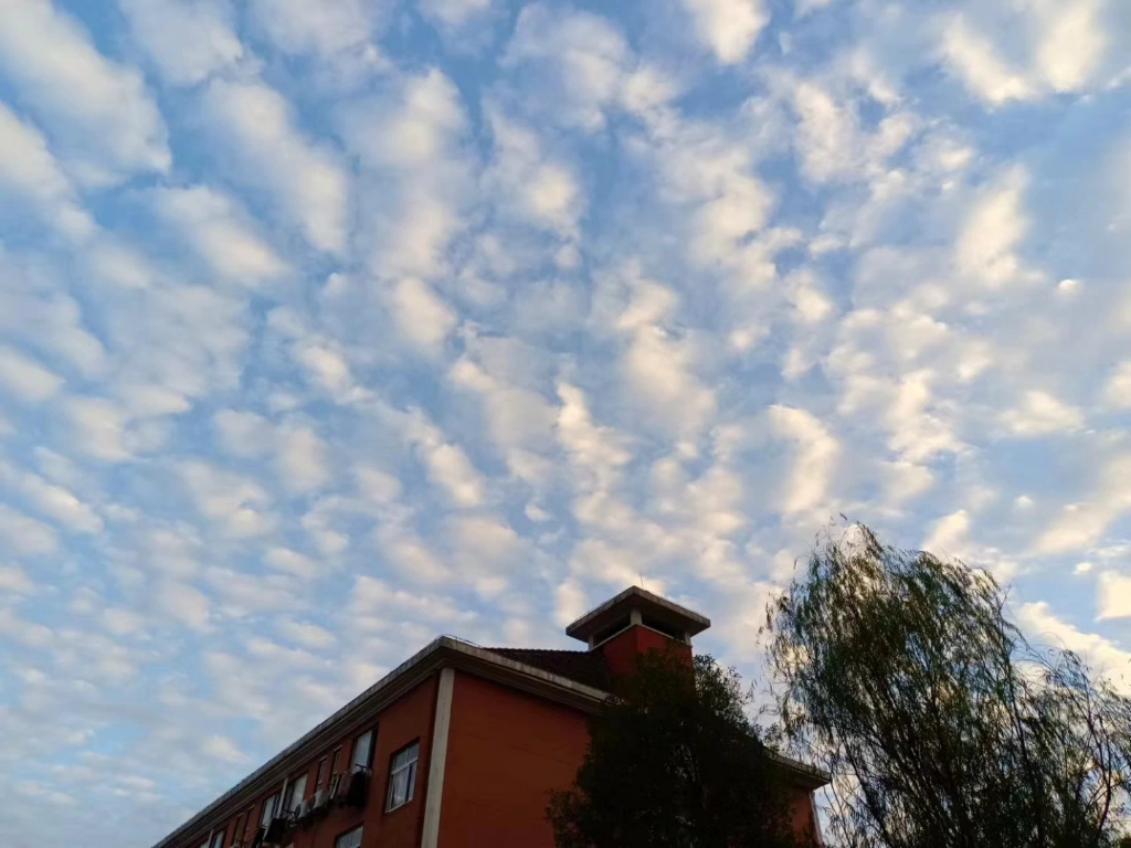 听说这种云叫天上鲤鱼斑