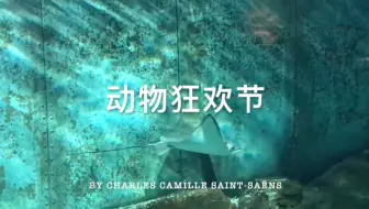 北京地铁音mad 口袋妖怪 吹响上低音号 圣 桑动物狂欢节第13乐章 原曲不使用 哔哩哔哩 Bilibili