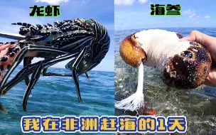 《环球探海记》坦桑尼亚~第38天:今天我在非洲的原始海岛赶海，没想到收获满满~就差鲍鱼啦