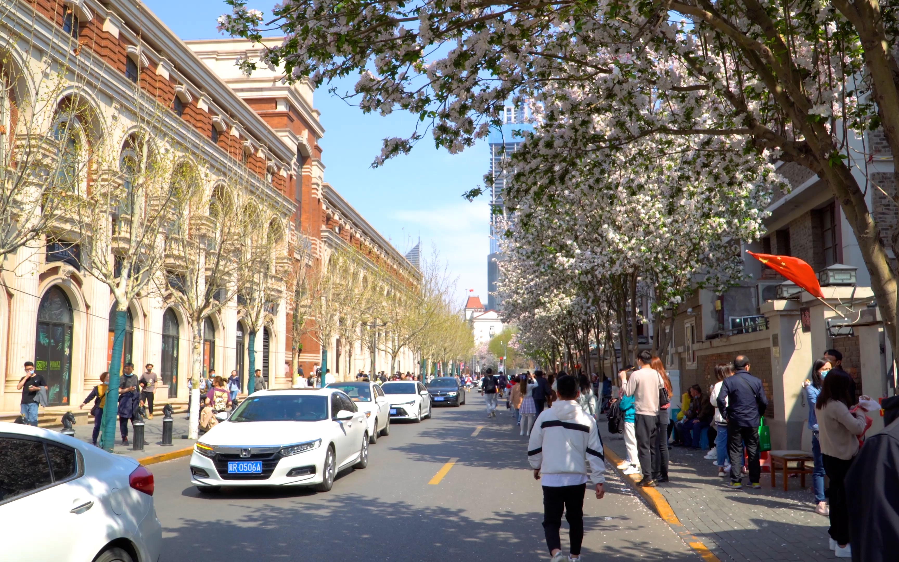 这个春天,我们一起相约大理道吧,去那里看今年最美的海棠花!