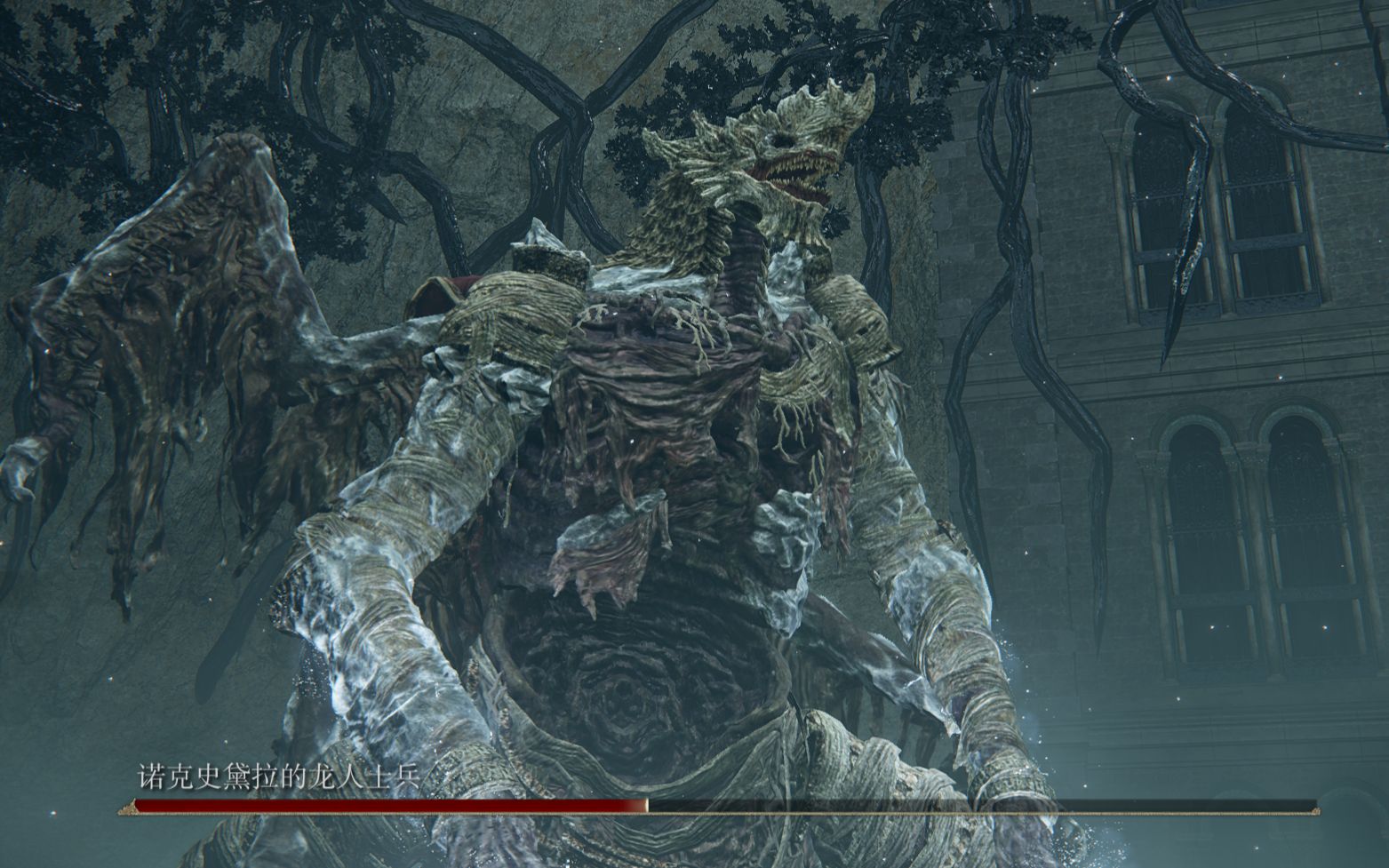 埃尔登法环诺克史黛拉的龙人士兵